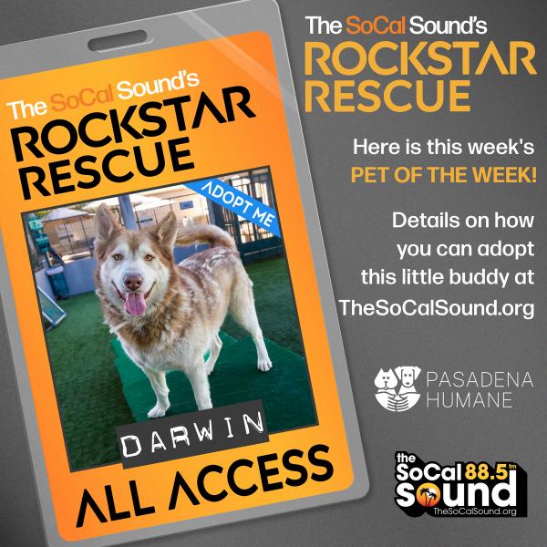 KCSN RockstarRescue DARWIN 8.23 SQUARE 1080x1080