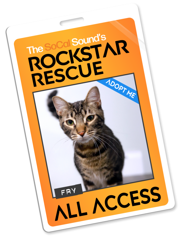 KCSN RockstarRescue PotW 012126 Pass r1