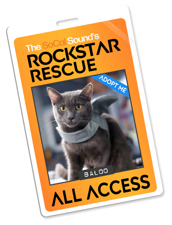KCSN RockstarRescue PotW 101426 Pass