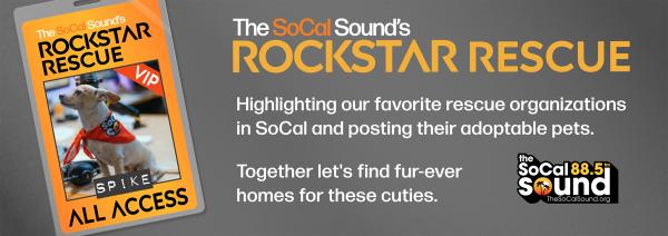 KCSN RockstarRescue General 071425 6 1130x401