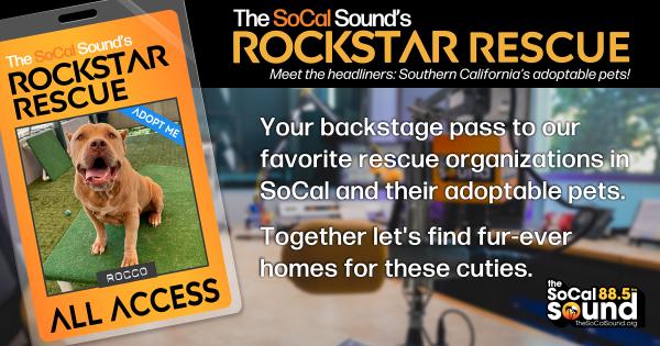 KCSN RockstarRescue PotW 081226 CreateOutlines FACEBOOK 1200x630