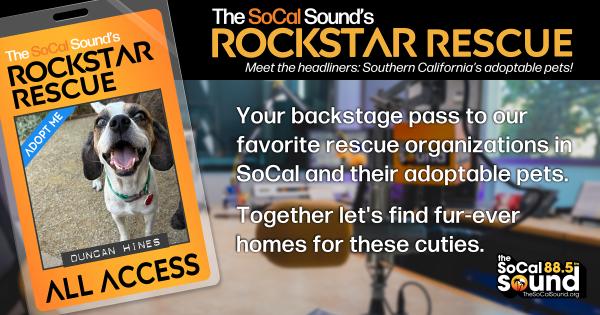 KCSN RockstarRescue PotW 092326 CreateOutlines FACEBOOK 1200x632