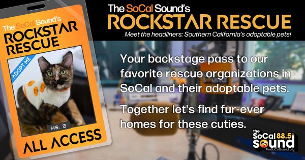 KCSN RockstarRescue PotW 100726 CreateOutlines FACEBOOK 1200x631