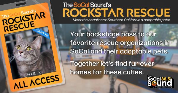 KCSN RockstarRescue PotW 102025 CreateOutlines FACEBOOK 1200x631