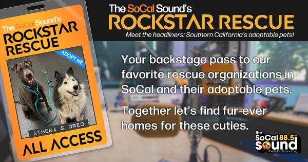 KCSN RockstarRescue PotW 11725 CreateOutlines FACEBOOK 1200x631