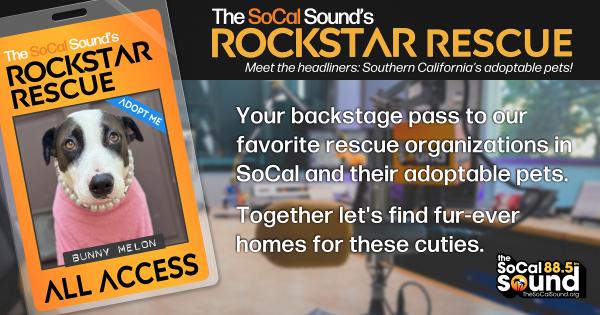 KCSN RockstarRescue PotW 120825 CreateOutlines FACEBOOK 1200x630