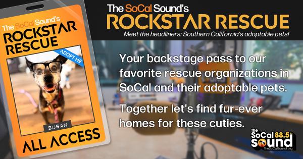 KCSN RockstarRescue PotW 122225 CreateOutlines FACEBOOK 1200x631