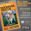 07.23: ROCKSTAR RESCUE PET OF THE WEEK - DARWIN!