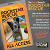 This easy-going cattle dog BIDDY can't wait for her next adventure with you!